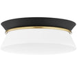 Mitzi Cath Flush Mount Lighting mitzi-H425502-PN/BK-2