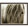 Natural Curiosities Blonde Wall natural-curiosities-hyden-horses-blonde-unframed