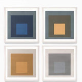 Natural Curiosities Modern Color Studies Square 2-Framed Decor Natural-Curiosities-Modern-Color-Square-2-Framed