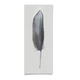 Natural Curiosities Sterling Feather - Unframed Decor Natural-Curiosities-Sterling-Feather-1-Unframed