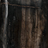 Noir Full Polished Fossil Stool - PRICING Furniture noir-AC041-B