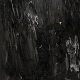 Noir Full Polished Fossil Stool - PRICING Furniture noir-AC041-B