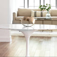 Regina Andrew Dex Object Decor