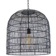 Regina Andrew Fresco Metal Pendant Lighting regina-andrew-16-1294BLK 844717099564