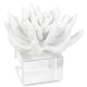 Regina Andrew Succulent Resin Sculpture Pillow & Decor regina-andrew-20-1484 844717033490