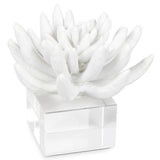 andrews succulents Succulent Resin Sculpture – Meadow Blu