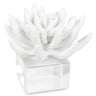 Regina Andrew Succulent Resin Sculpture Pillow & Decor regina-andrew-20-1484 844717033490