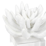Regina Andrew Succulent Resin Sculpture Pillow & Decor regina-andrew-20-1484 844717033490
