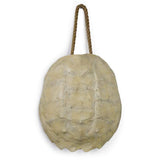 Regina Andrew Turtle Shell Accessory - Bleached Wall regina-andrew-21-1044IV 844717016509