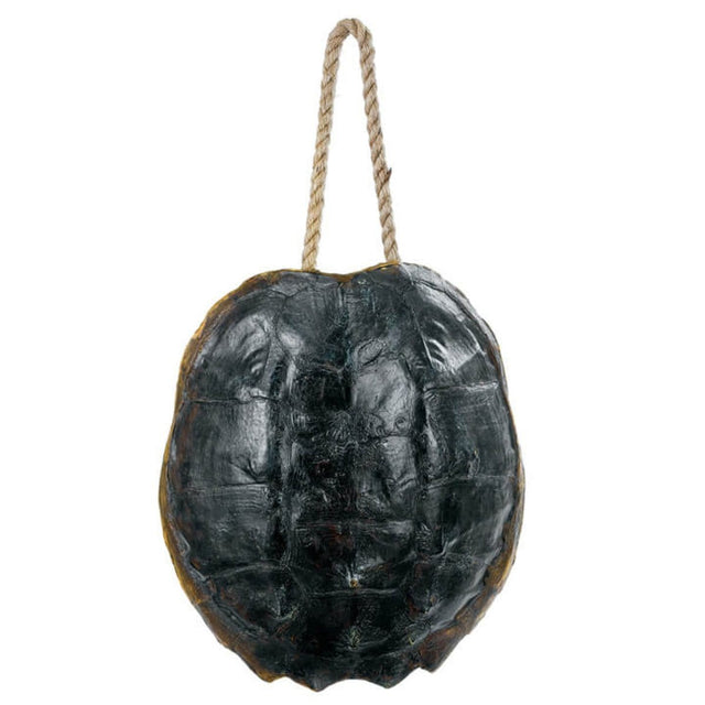 Regina Andrew Turtle Shell Accessory - Natural Wall regina-andrew-21-1044NAT 844717022548