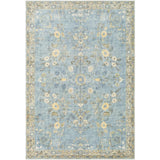 Surya Erin Rug Rugs SURYA-ERN2311-23