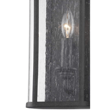 Troy Lighting Chace Outdoor Sconce Lighting troy-B3403-FRN