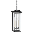 Troy Lighting Eden Outdoor Pendant Lighting troy-F7520-TBK