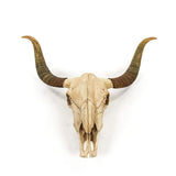 Zentique Bull Skull Wall Zentique-SHI032