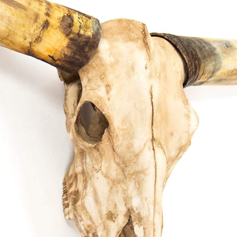 Zentique Texas Long Horn Skull Wall Zentique-SHI035 00610373323011