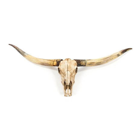 Zentique Texas Long Horn Skull Wall Zentique-SHI035 00610373323011